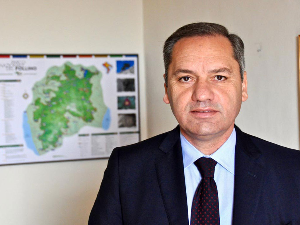 Domenico Pappaterra